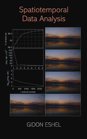 Spatiotemporal Data Analysis