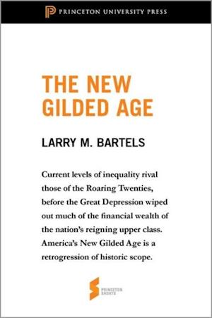 New Gilded Age