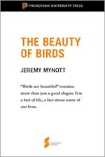 Beauty of Birds