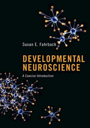 Developmental Neuroscience