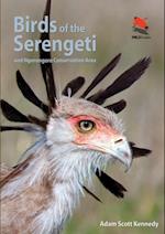 Birds of the Serengeti