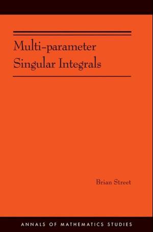 Multi-parameter Singular Integrals, Volume I