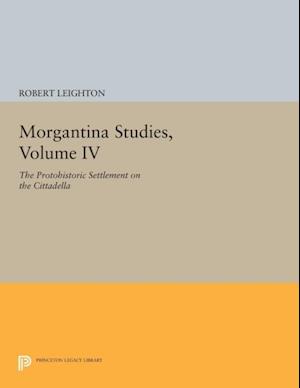 Morgantina Studies, Volume IV