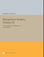 Morgantina Studies, Volume IV