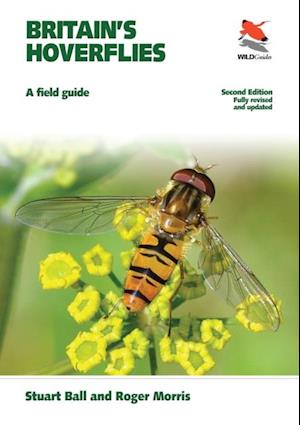 Britain's Hoverflies