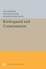 Kierkegaard and Consciousness