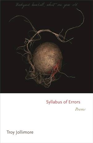 Syllabus of Errors