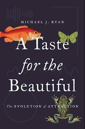 Taste for the Beautiful