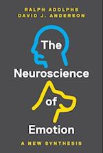 Neuroscience of Emotion