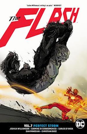 The Flash Vol. 7