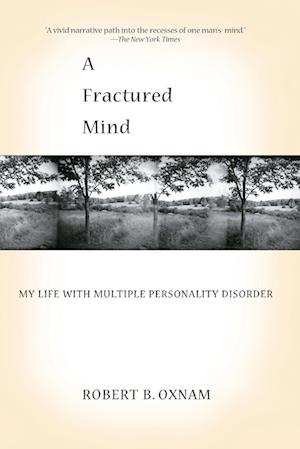 A Fractured Mind