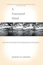 A Fractured Mind