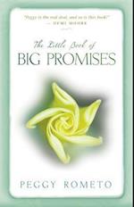 Little Book of Big Promises