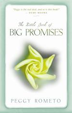 Little Book of Big Promises