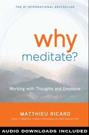 Why Meditate?