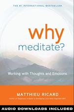 Why Meditate?