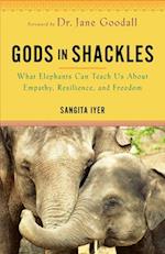 Gods in Shackles