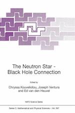 The Neutron Star—Black Hole Connection