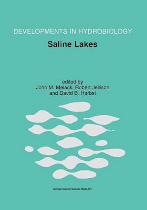 Saline Lakes