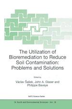 The Utilization of Bioremediation to Reduce Soil Contamination: Problems and Solutions