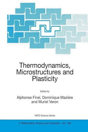 Thermodynamics, Microstructures and Plasticity