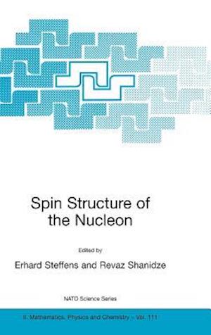 Spin Structure of the Nucleon