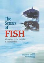 The Senses of Fish