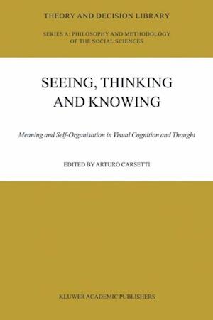 Seeing, Thinking and Knowing