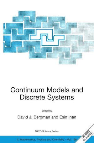 Continuum Models and Discrete Systems