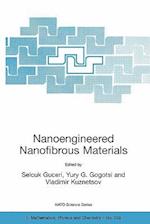 Nanoengineered Nanofibrous Materials