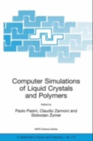 Computer Simulations of Liquid Crystals and Polymers