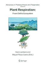 Plant Respiration