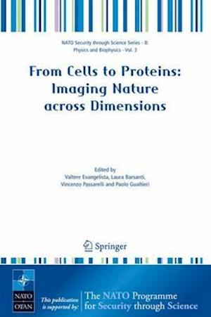 From Cells to Proteins: Imaging Nature across Dimensions