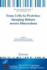 From Cells to Proteins: Imaging Nature across Dimensions