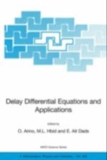 Delay Differential Equations and Applications