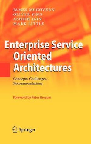 Enterprise Service Oriented Architectures