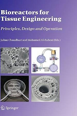 Bioreactors for Tissue Engineering