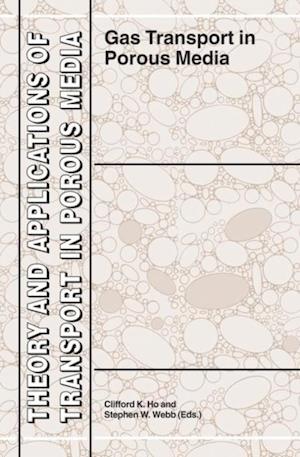 Gas Transport in Porous Media