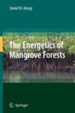 Energetics of Mangrove Forests