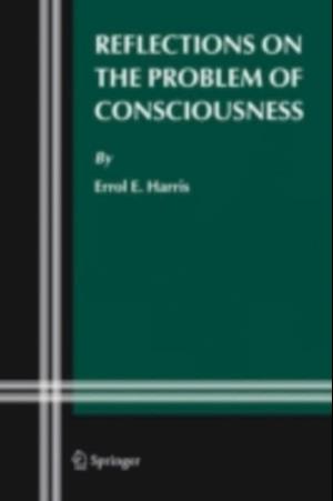 Reflections on the Problem of Consciousness