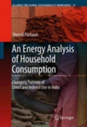 Energy Analysis of Household Consumption