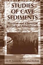 Studies of Cave Sediments