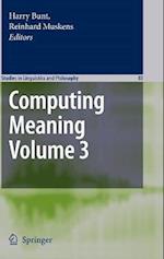 Computing Meaning