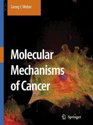 Molecular Mechanisms of Cancer