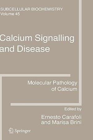 Calcium Signalling and Disease