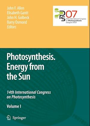 Photosynthesis. Energy from the Sun