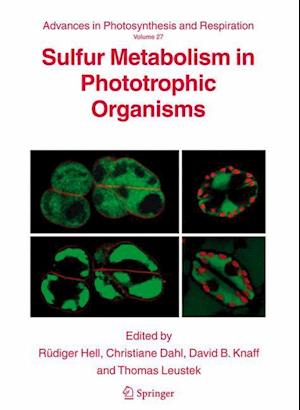 Sulfur Metabolism in Phototrophic Organisms