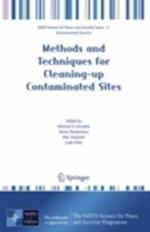 Methods and Techniques for Cleaning-up Contaminated Sites