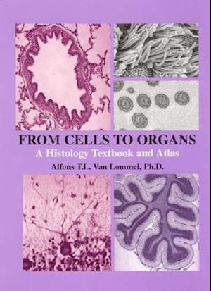 From Cells to Organs