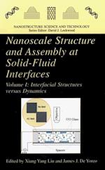 Nanoscale Structure and Assembly at Solid-Fluid Interfaces